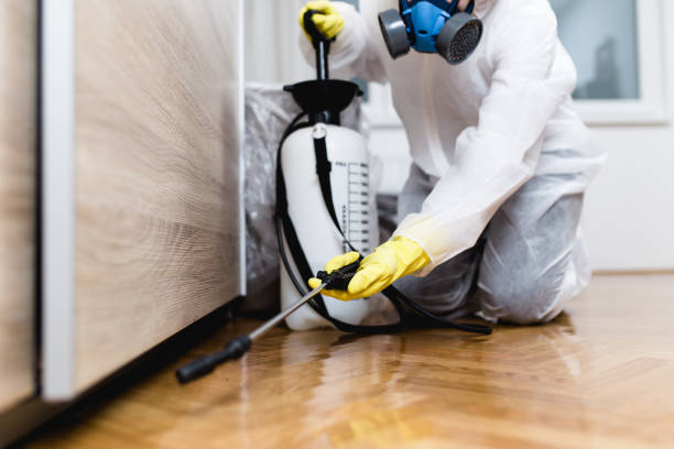 Best Pest Control Near Me  in Fairmead, CA
