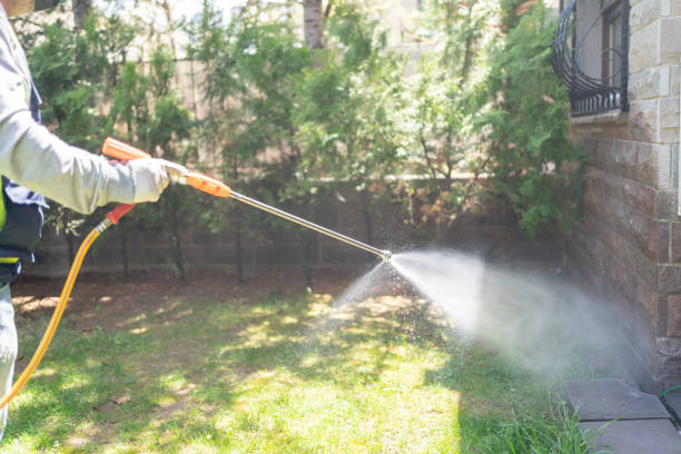 Wasp Removal Services in Fairmead, CA